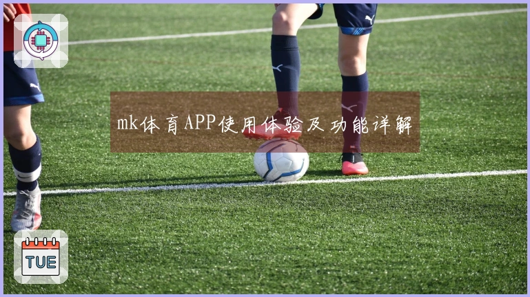 mk体育APP使用体验及功能详解
