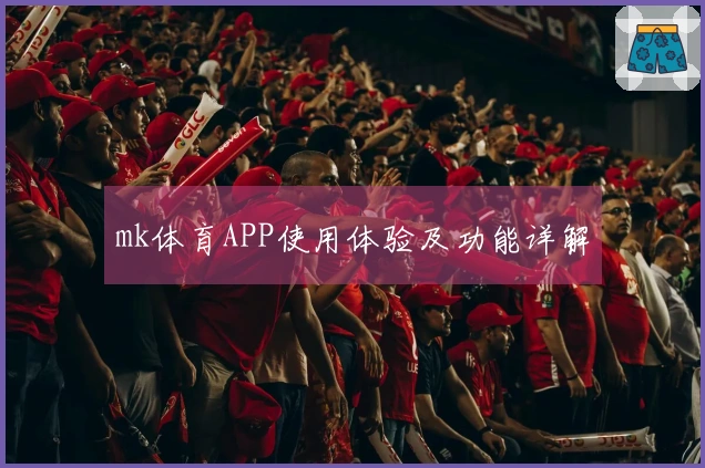 mk体育APP使用体验及功能详解